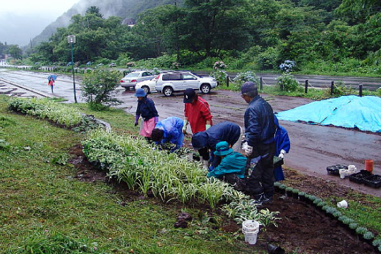 道路の清掃・除草