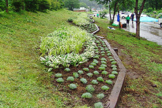 除草活動整備後